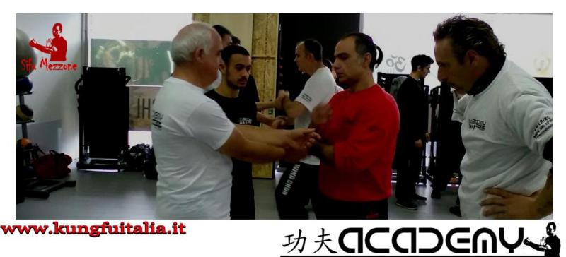 Stage di Wing Chun Kung Fu Frosinone Accademia di Wing Tjun Caserta Italia di Sifu Mezzone (28)